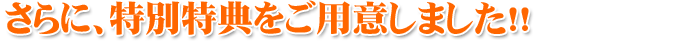 さらに、特別特典をご用意しました!!