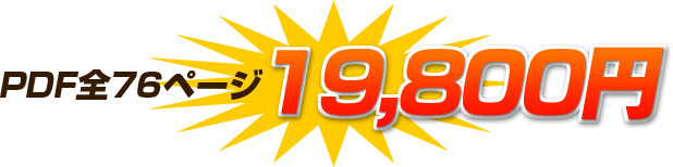PDF 全76ページ 19,800円