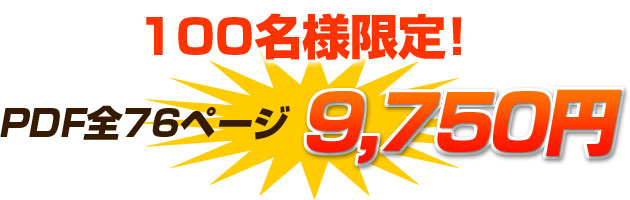 PDF 全76ページ　9,750円