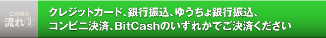 クレジットカード、銀行振込、ゆうちょ銀行振込、コンビニ決済、BitCashのいずれかでご決済ください